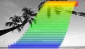 A thumbnail of A splash of colour